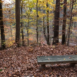 Tri-State Marker Trail