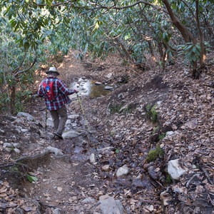Sand Spring Trail