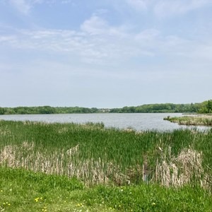 Hayden Lollipop Loop