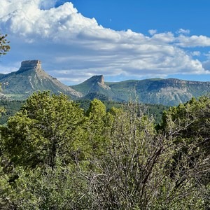Chutes and Ladders BLM Camping