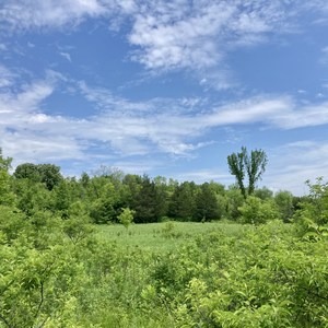 Sumac and Meadowlark Loop