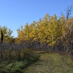 Mahnomen National Recreation Trail