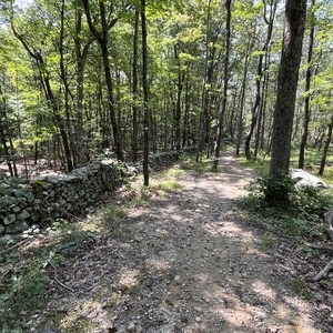 School Mountain - Clove Creek Loop