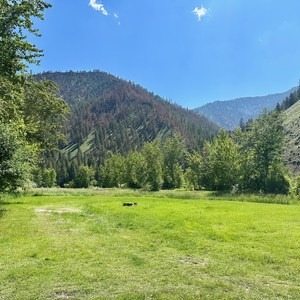 Bobcat Gulch Camping Area