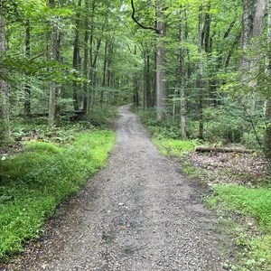 Voorhees State Park Loop