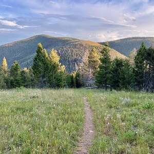Continental Divide Trail: Montana-Idaho Section 21