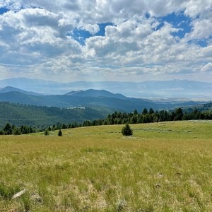 Continental Divide Trail: Montana-Idaho Section 19