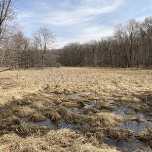 Linwood School Forest Trails Loop