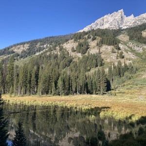 Moose Ponds Loop Trail