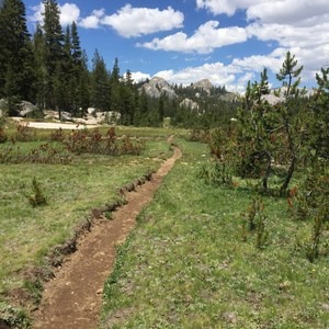 Grand Canyon of the Tuolumne