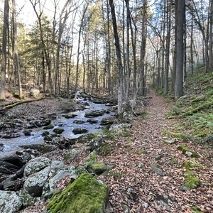 Perkins Loop via Appalachian Trail