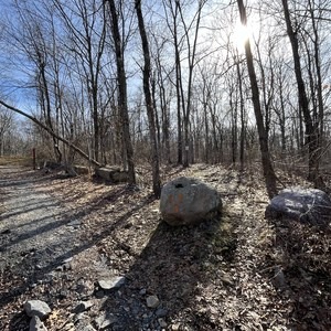 Beach Glen Loop via Wildcat Ridge