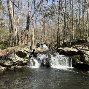 Apshawa Preserve Loop