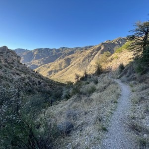 Santa Catalina Mountains Loop