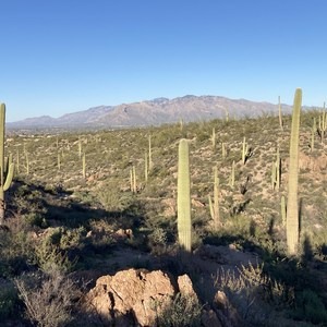 Wildflower Ridge Loop