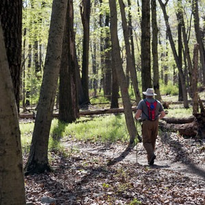 Tower, Ferndale and Gravity Trail Loop