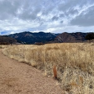 Bear Creek, Mountain Scrub, and Yellow Jacket Loop