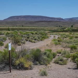 Dove Dike Trail
