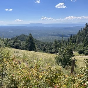 Bill Williams Mountain Trail