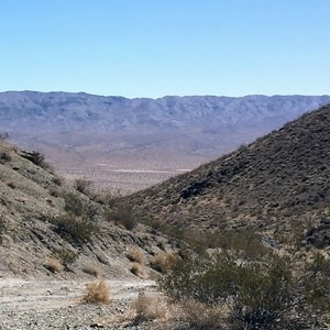 Mesquite Canyon