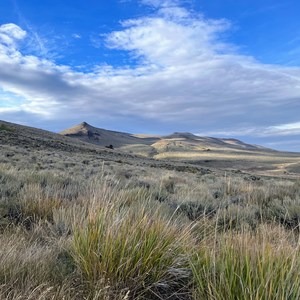 Hart Campground to Guano Campground