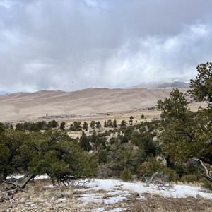 Dunes Overlook Trail