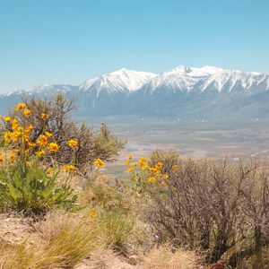 Prison Hill Summit via Dead Truck Canyon