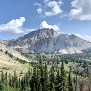 Walker Lake Out and Back