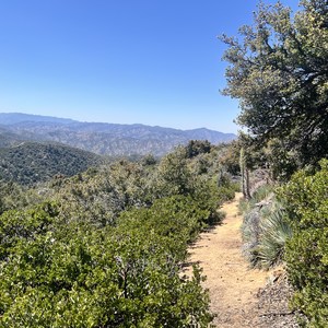Boulder Canyon Trail