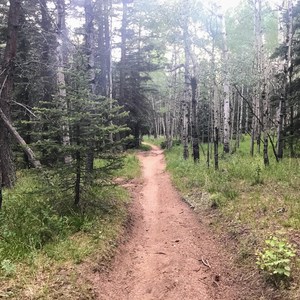 Buffalo Trailhead to Kelsey Camp Loop