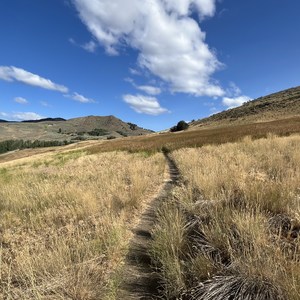 Lewis Butte Trail