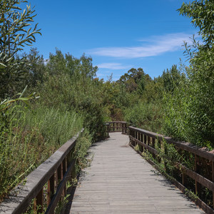 DeForest Wetlands Trail