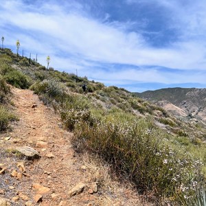 Adobe Trail
