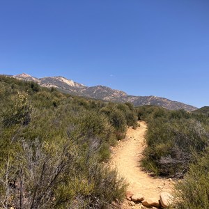 Dough Flat to Piedra Blanca