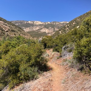 Dough Flat to Pine Mountain Lodge Camp