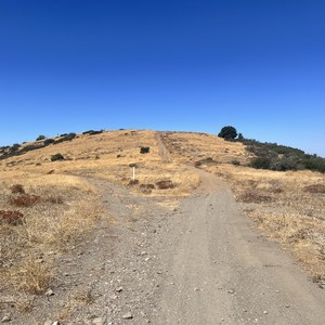 Agua Dulce to Mount McDill