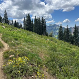 PCT: Marble Mountain Wilderness