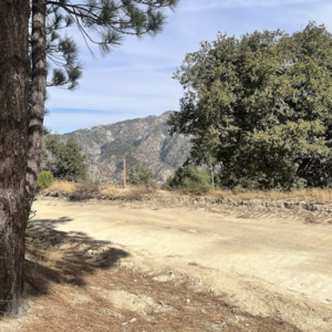 Three Points to Vetter Loop