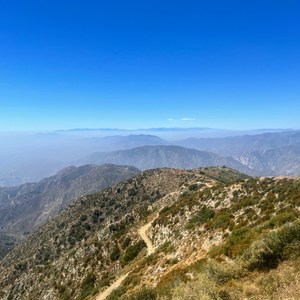 Hoyt to Dukemejian Lollipop