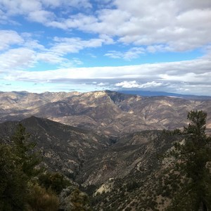 Pine Mountain Lollipop