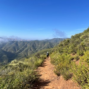 Cuesta Pass to Cerro Alto Campground Out-n-Back