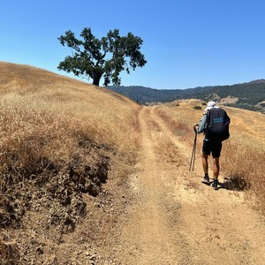 Baldwin Ranch Road to Turkey Springs Camp