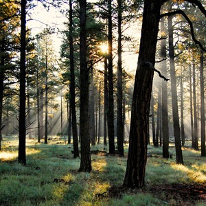 It's Your Backyard: Leave No Trace