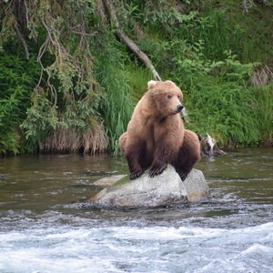 Protect Your Food - Keep Wildlife Wild - Ep 8