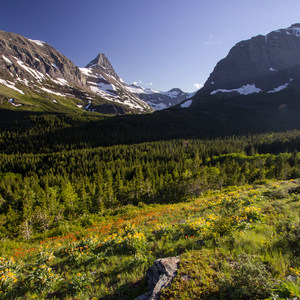 Iceberg Lake