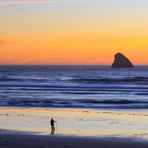 Cape Meares Big Spruce + Beach Trail
