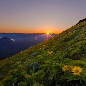 Dog Mountain Hiking Loop