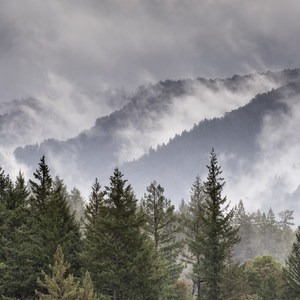 Big Basin Redwoods State Park
