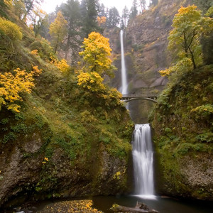 Multnomah Falls + Lodge