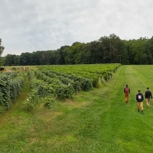 Finger Lakes Trail: Mitchellsville Gorge